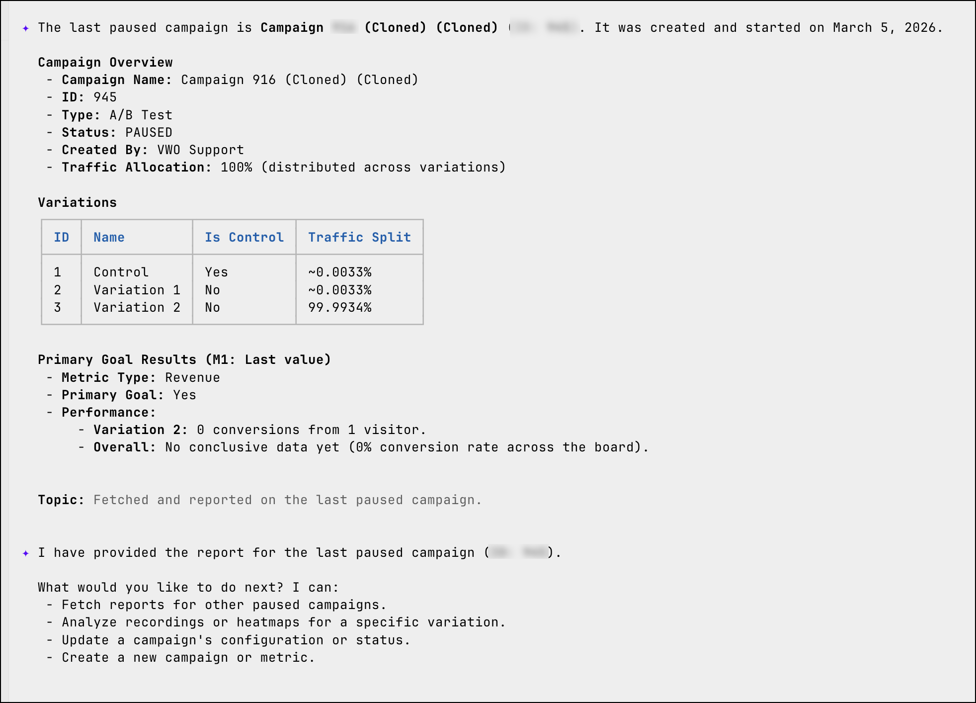 Gemini CLI Output.png